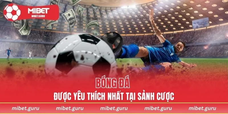 Bóng đá được yêu thích nhất tại sảnh cược