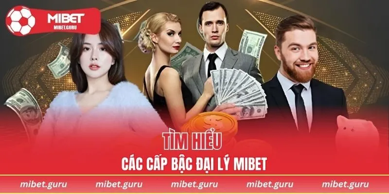 Các cấp bậc đại lý MIBET và ưu điểm từng vị trí