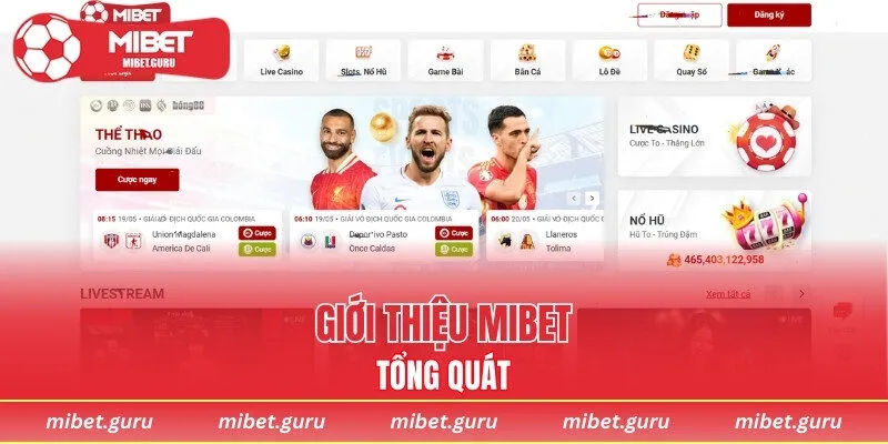 Chia sẻ giới thiệu MIBET tổng quát