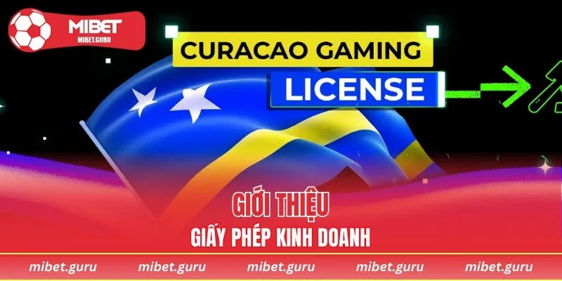 Chia sẻ sơ qua về giấy phép kinh doanh