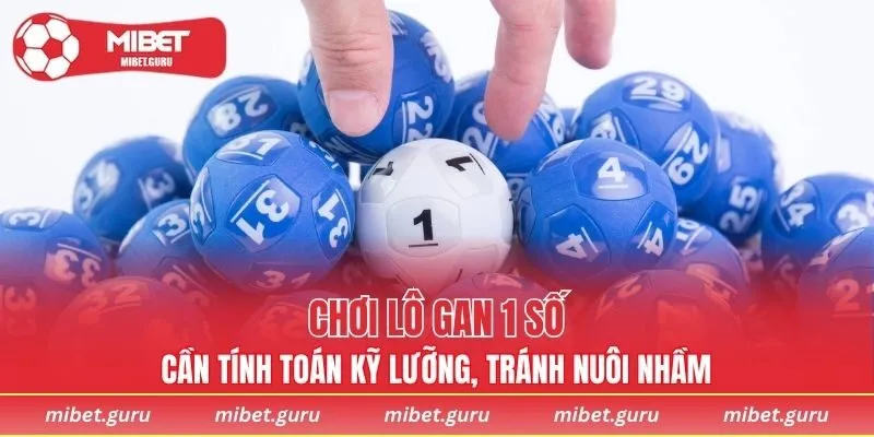 Chơi lô gan 1 số cần tính toán kỹ lưỡng, tránh nuôi nhầm
