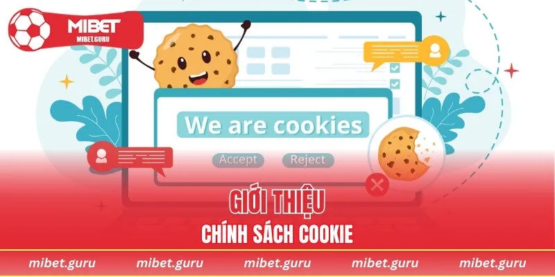 Cơ bản dữ liệu về chính sách cookie