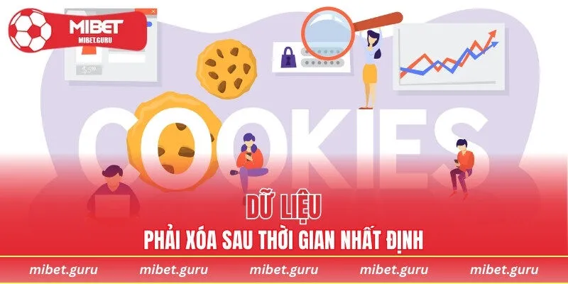 Dữ liệu phải xóa sau thời gian nhất định