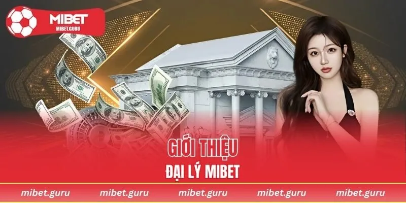 Giới thiệu về đại lý MIBET