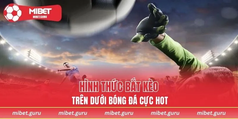 Hình thức bắt kèo trên dưới bóng đá cực hot