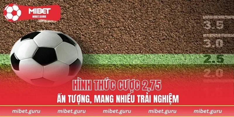 Hình thức cược 2,75 ấn tượng, mang nhiều trải nghiệm