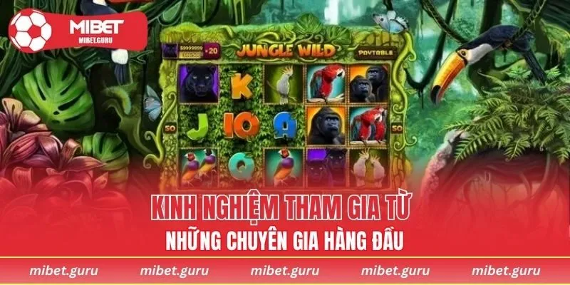 Kinh nghiệm tham gia từ những chuyên gia hàng đầu