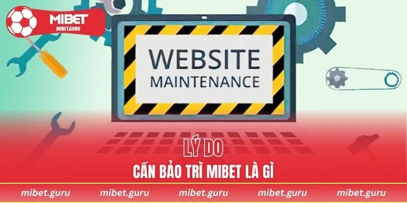 Lý do cần thực hiện quá trình bảo trì MIBET