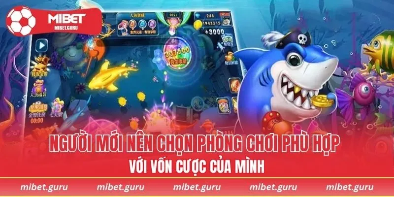 Người mới nên chọn phòng chơi phù hợp với vốn cược của mình