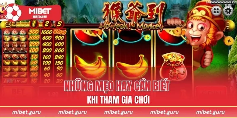 Những mẹo hay cần biết khi tham gia chơi