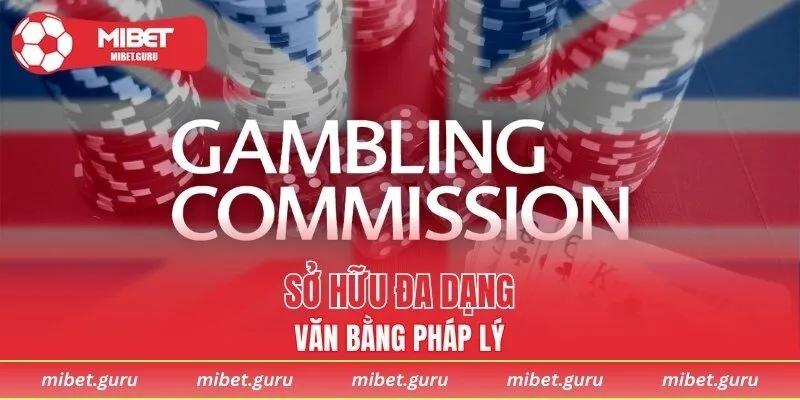 Sở hữu đa dạng văn bằng pháp lý