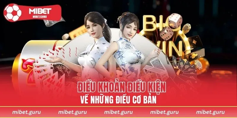 Tổng quan thông tin về chính sách điều khoản điều kiện